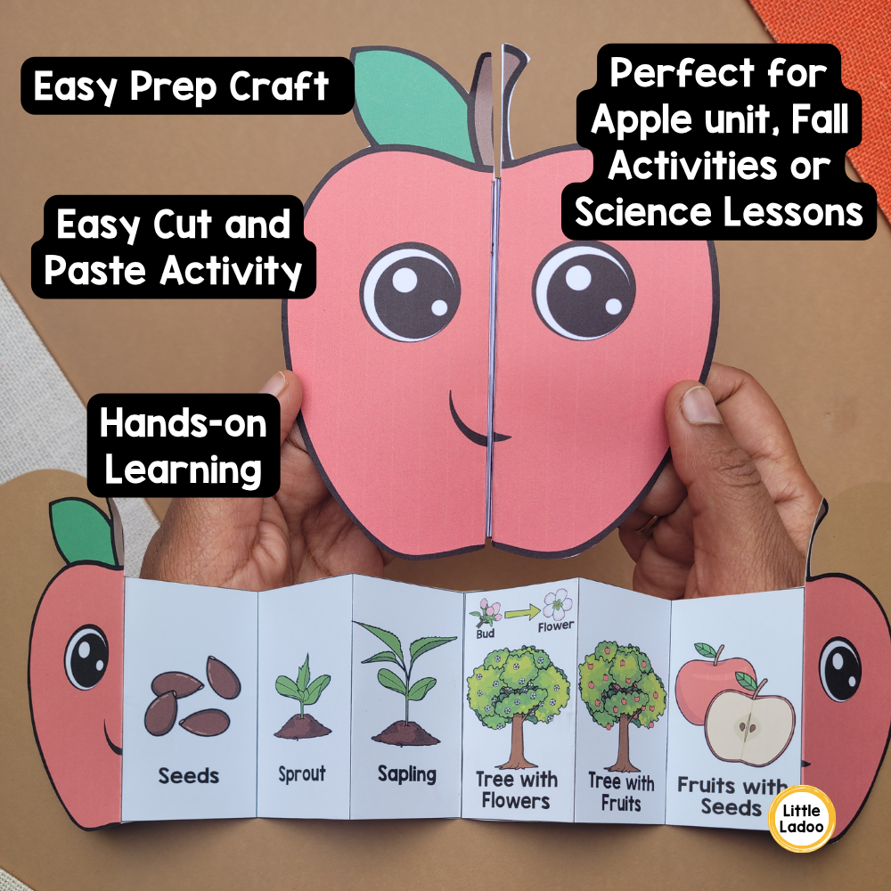 Apple Life Cycle Craft Printable | Foldable Sequencing Activity