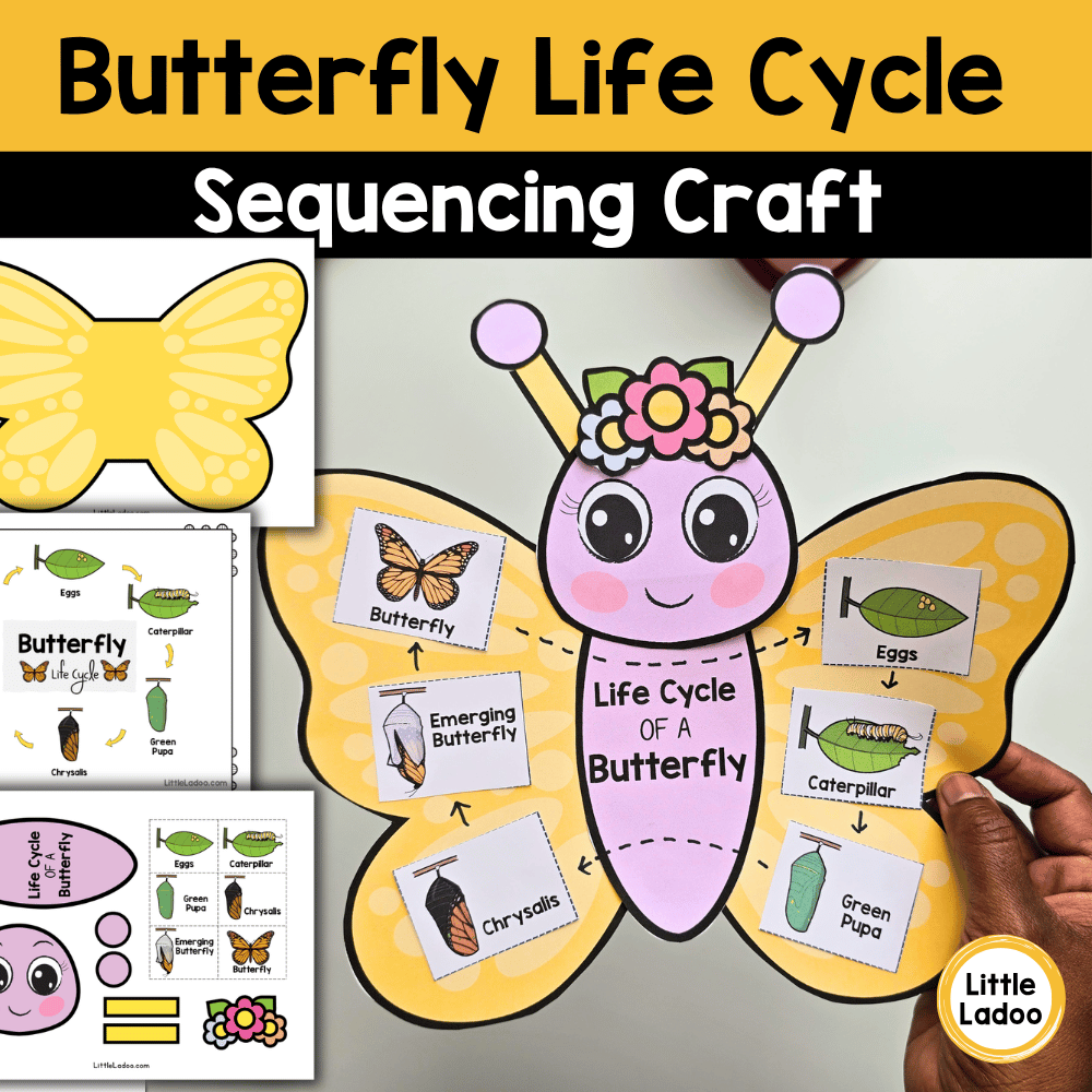 Butterfly Life Cycle Craft | Sequencing Cut and Paste Activity