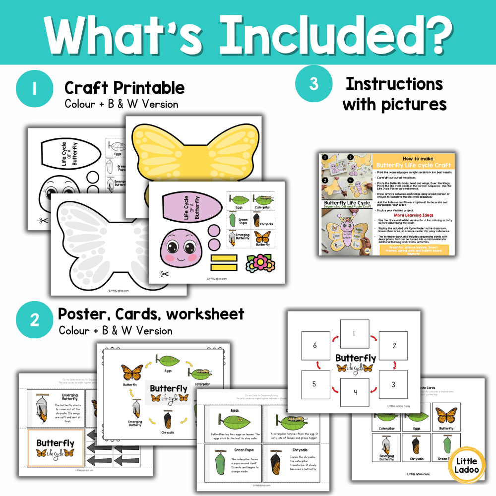 Butterfly Life Cycle Craft | Sequencing Cut and Paste Activity
