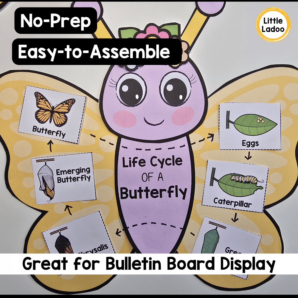 Butterfly Life Cycle Craft | Sequencing Cut and Paste Activity