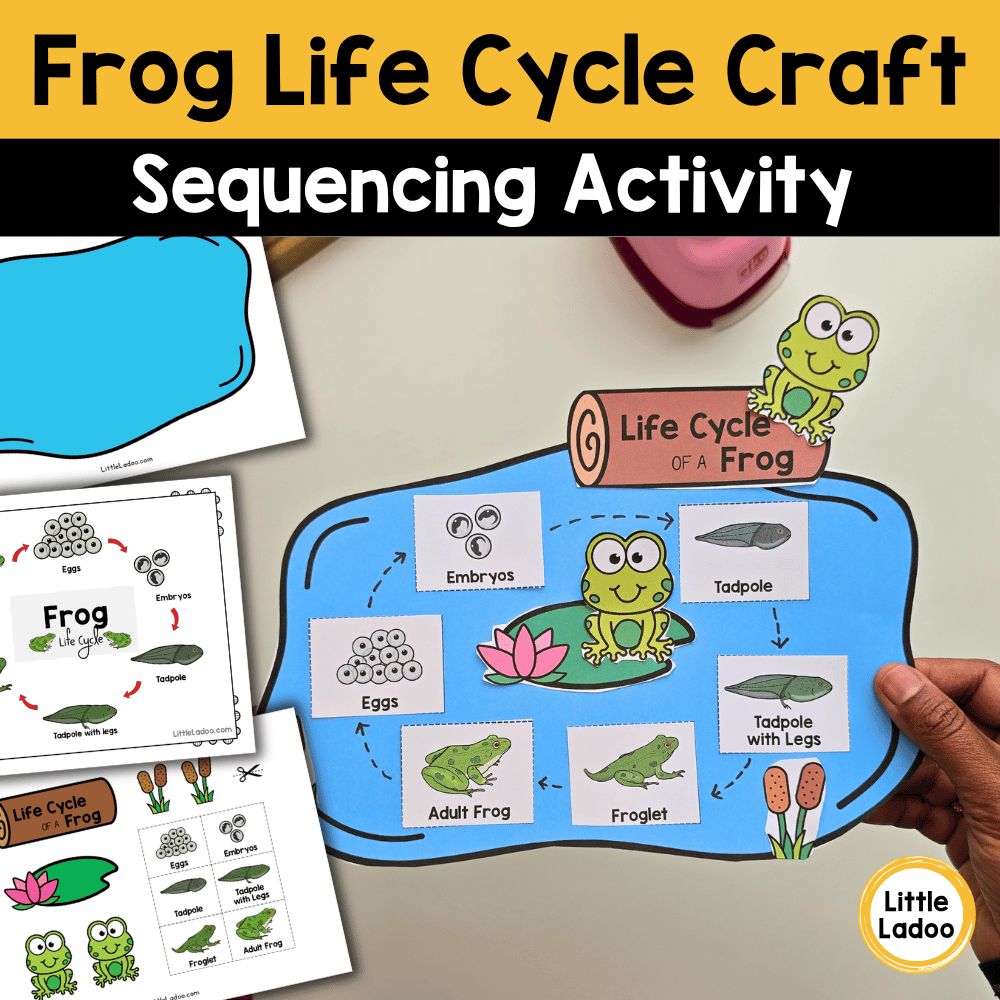 Frog Life Cycle Craft | Sequencing Cut and Paste Activity