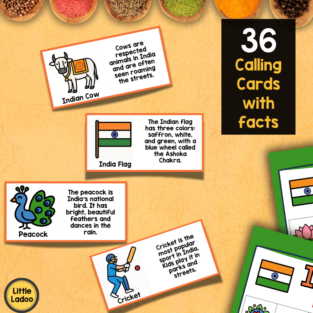 India Bingo Printable