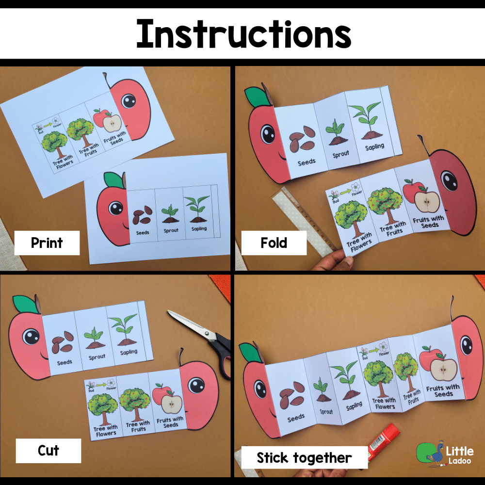 Apple Life Cycle Craft Printable