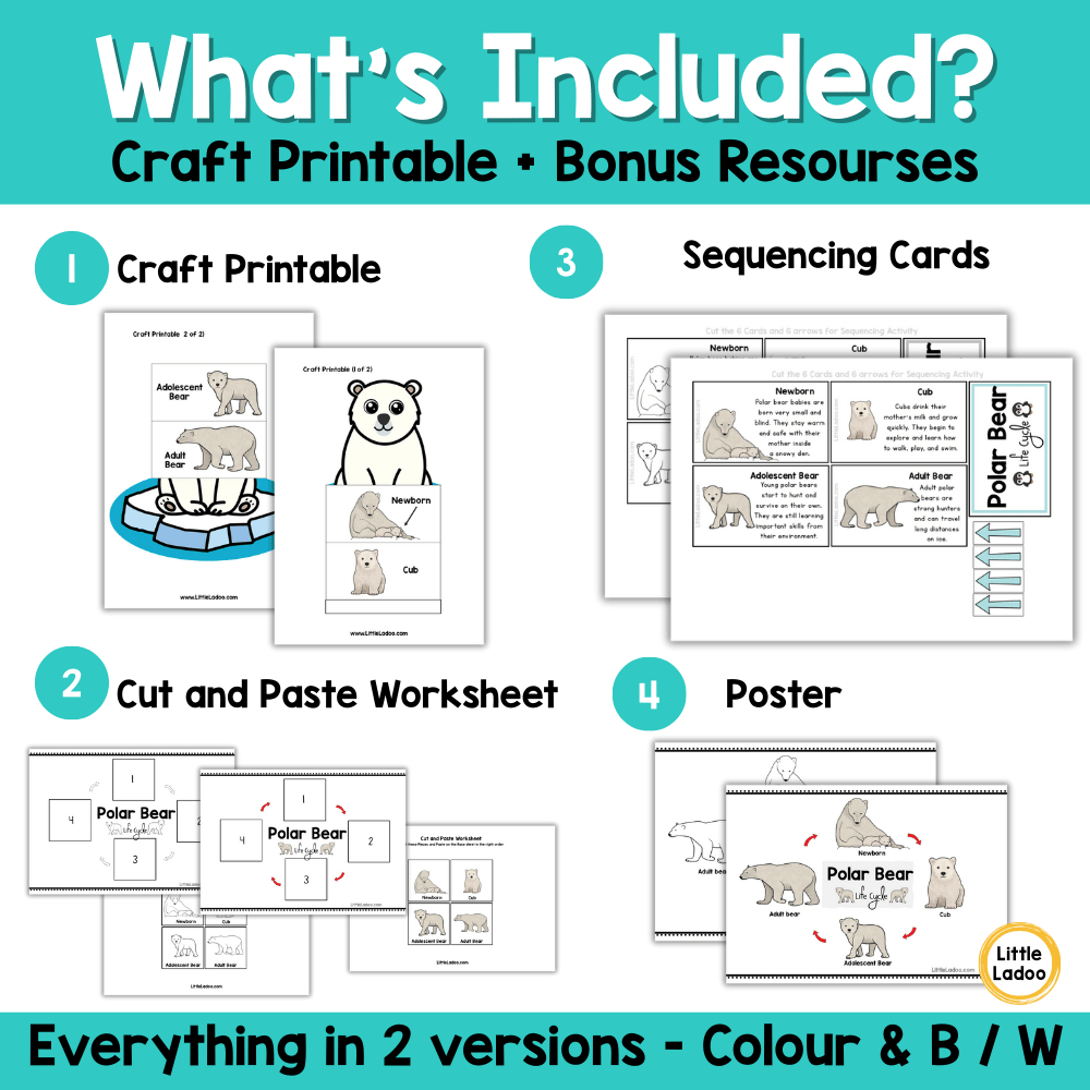 Polar Bear Life Cycle Craft Printable