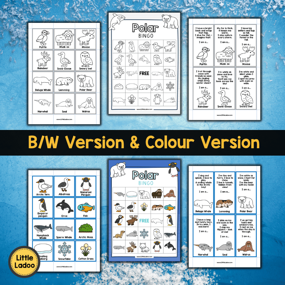 Polar Bingo Printable