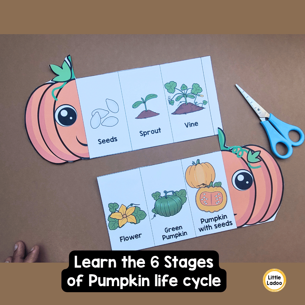 Pumpkin Life Cycle Craft Printable | Foldable Sequencing Activity