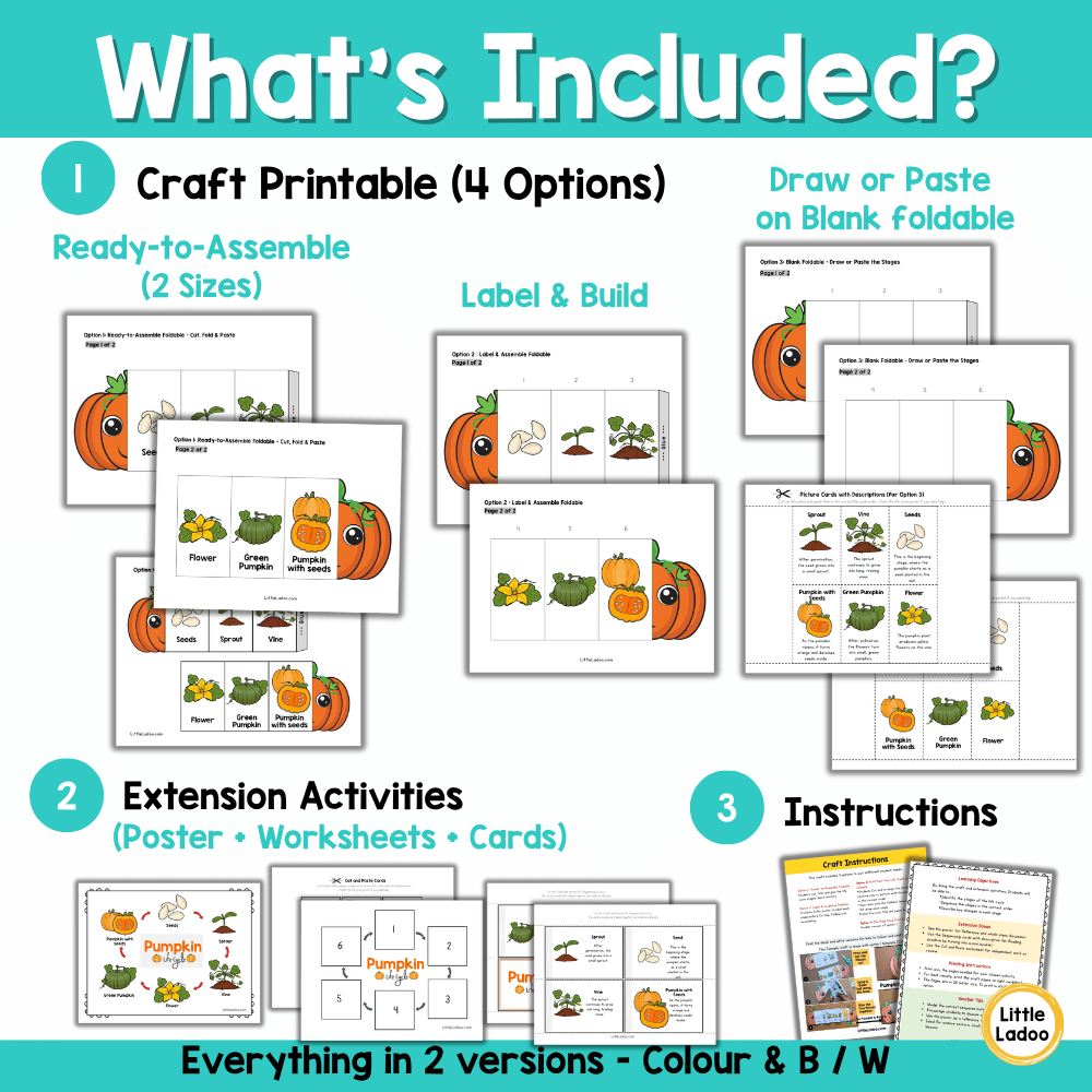 Pumpkin Life Cycle Craft Printable | Foldable Sequencing Activity