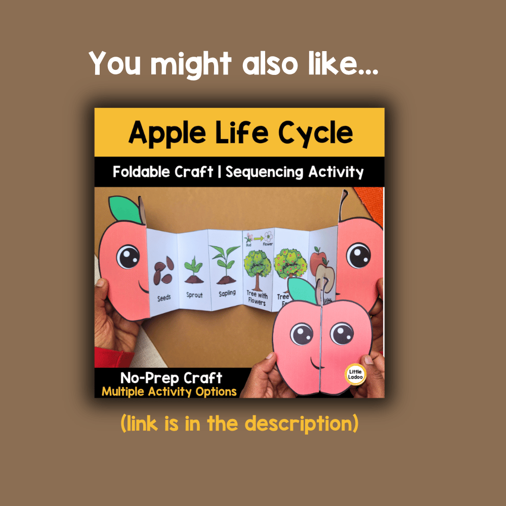 Pumpkin Life Cycle Craft Printable | Foldable Sequencing Activity