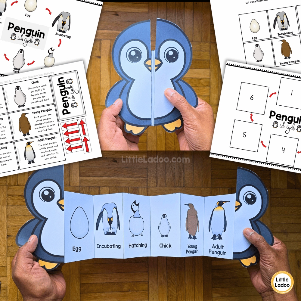 Penguin Life Cycle Craft Printable