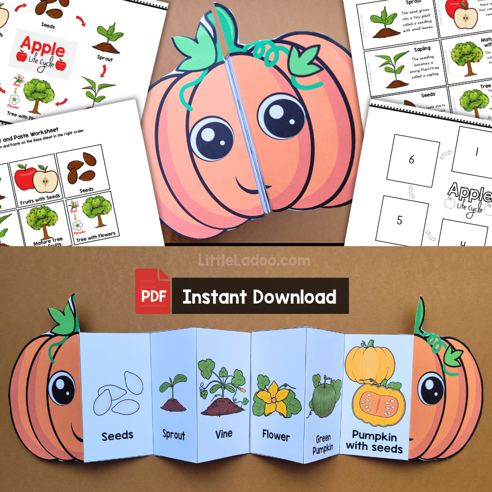 Pumpkin Life Cycle Craft Printable