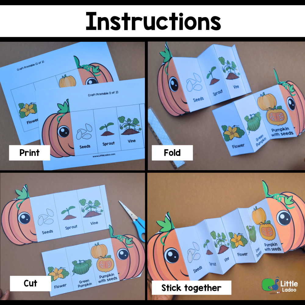 Pumpkin Life Cycle Craft Printable