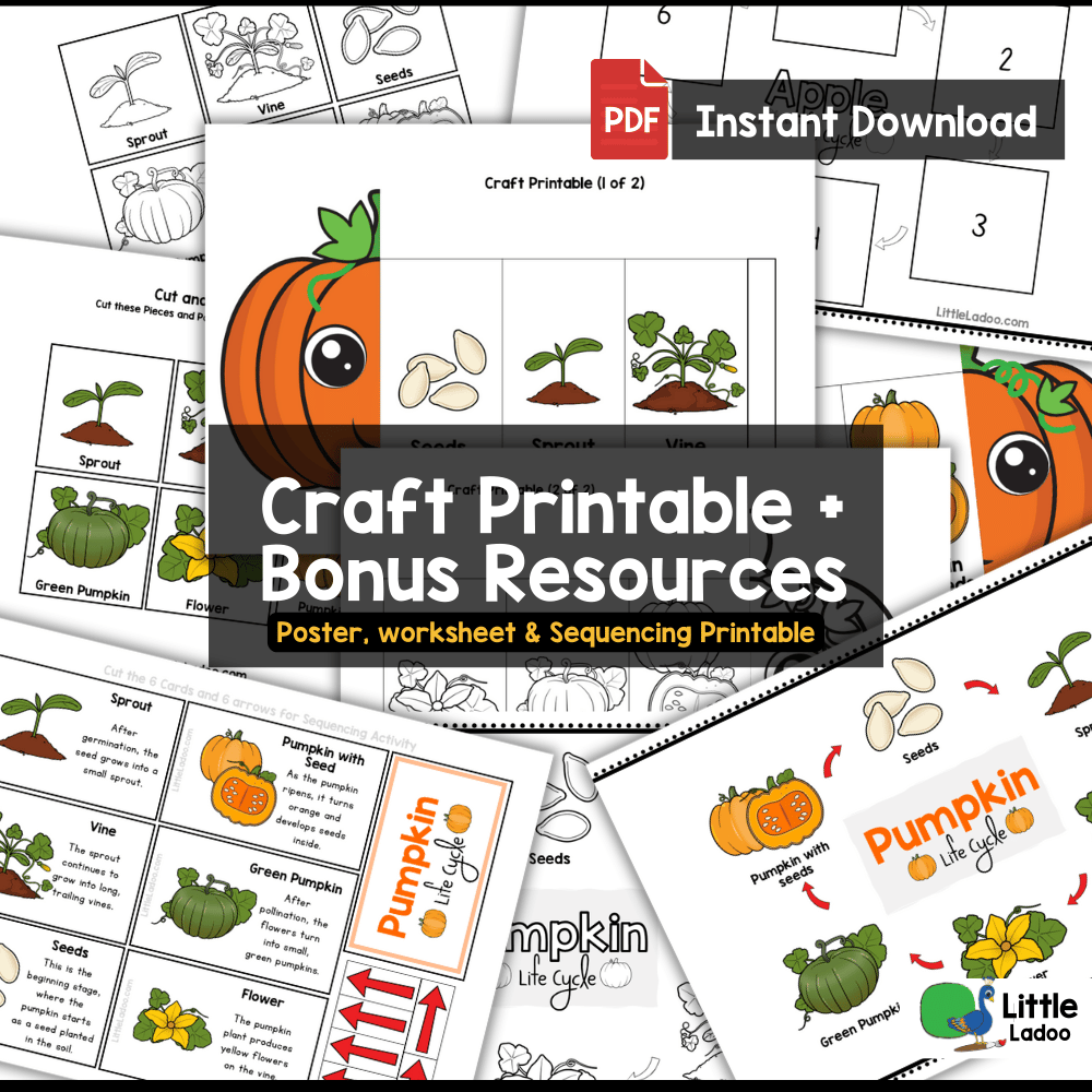 Pumpkin Life Cycle Craft Printable