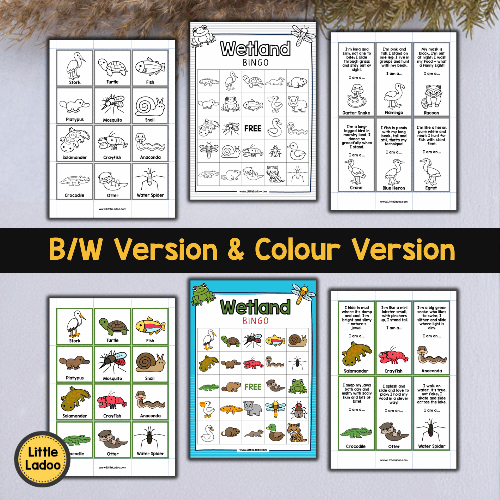 Wetland Bingo Printable