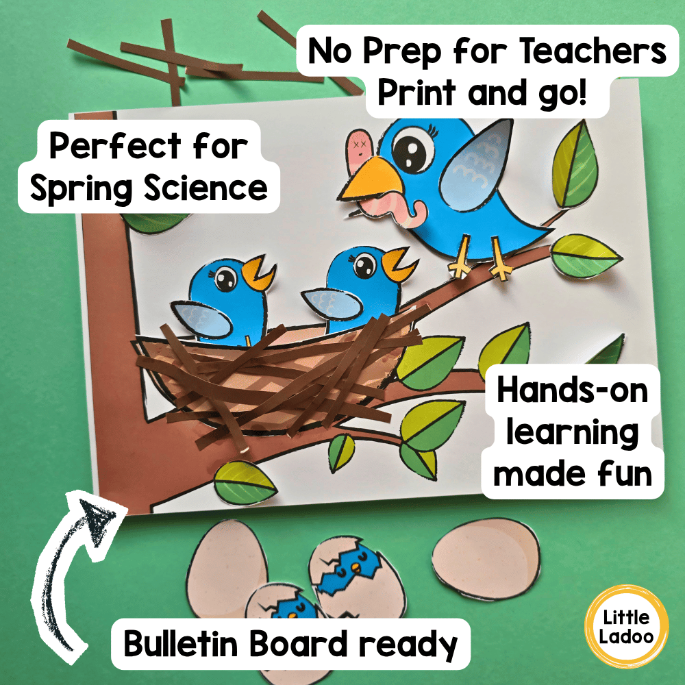 Spring Bird Nest Craft – Life Cycle of a Bird Activity