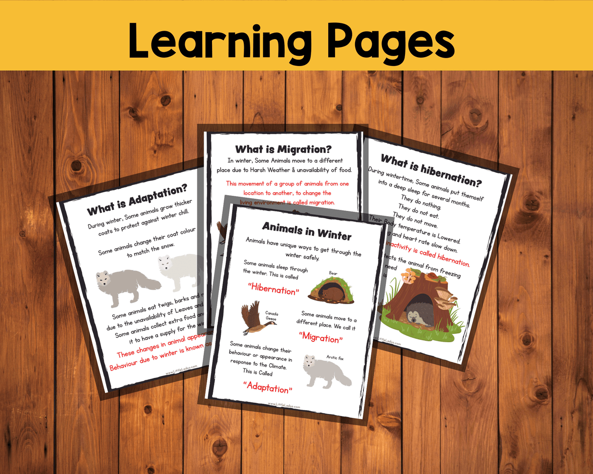 Animals in Winter - Interactive Learning Pack