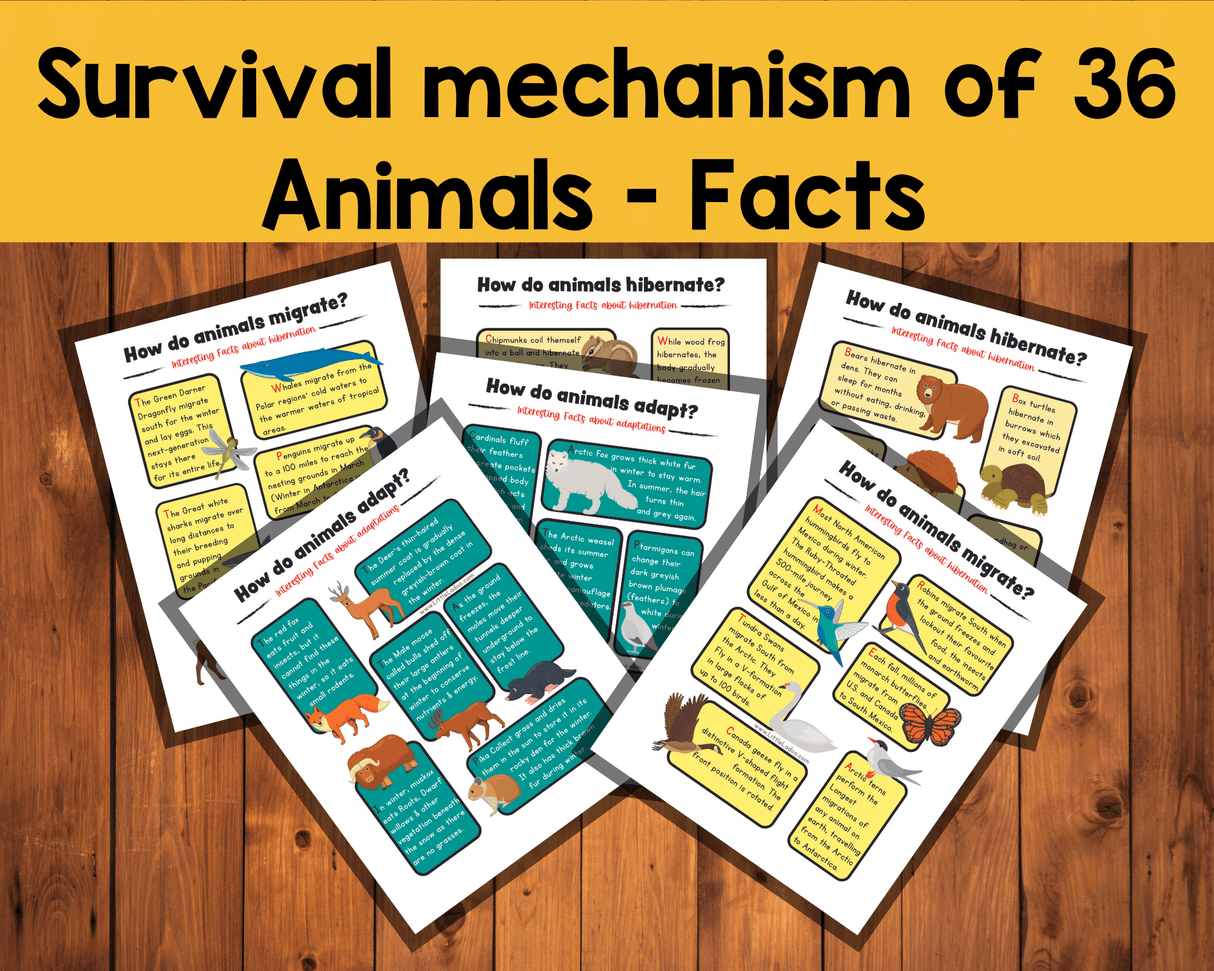 Animals in Winter - Interactive Learning Pack