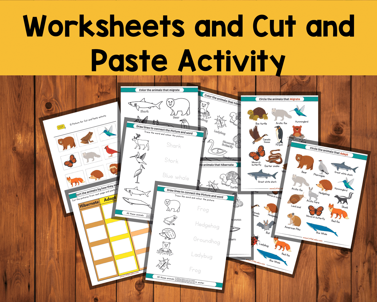 Animals in Winter - Interactive Learning Pack