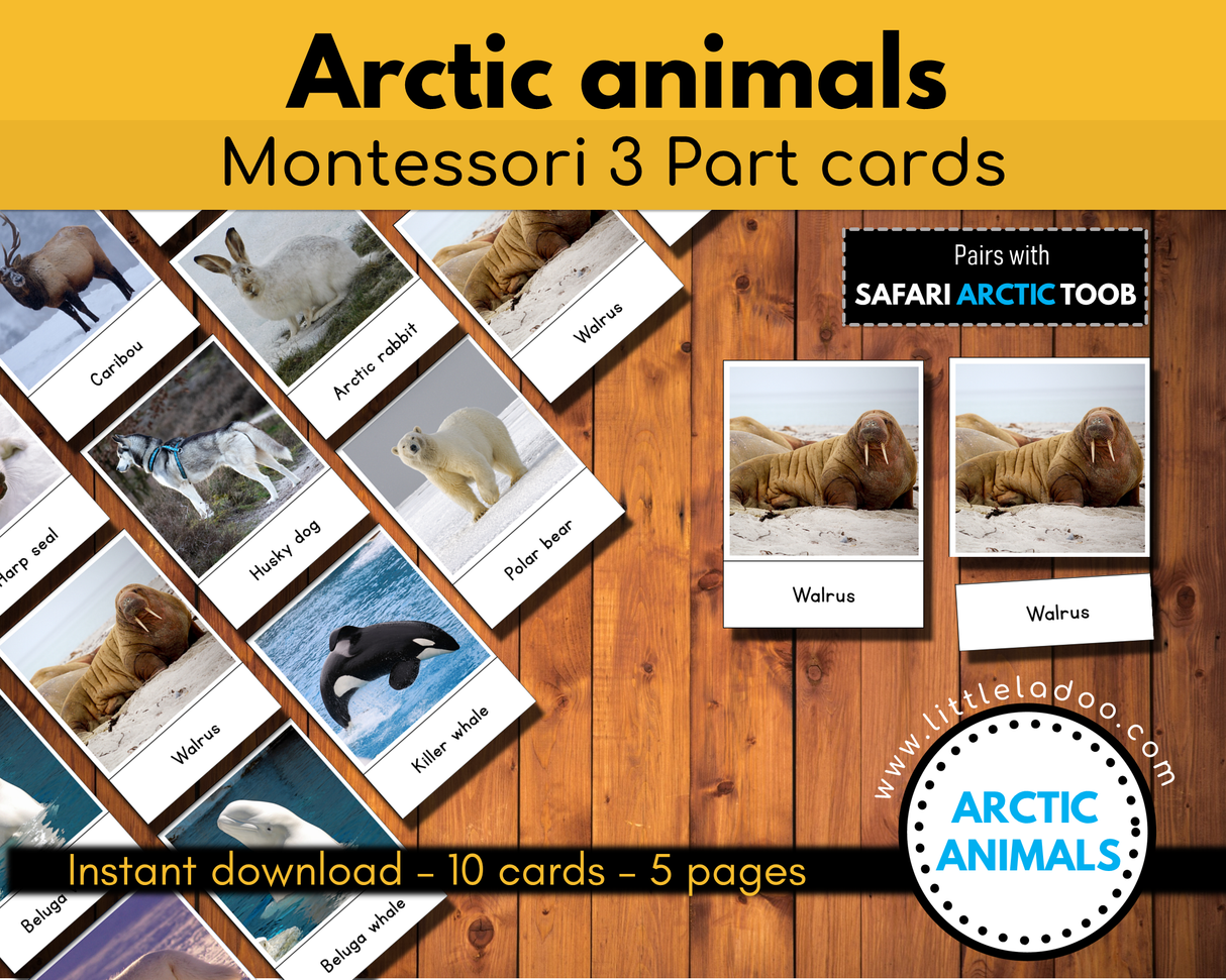 Arctic Animals Montessori 3 Part cards