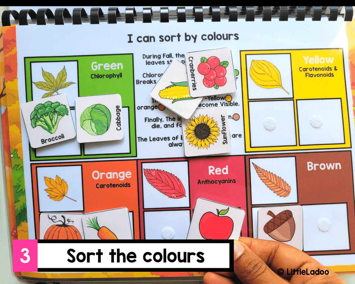 Fall Busy Book Printable {11 Activities}