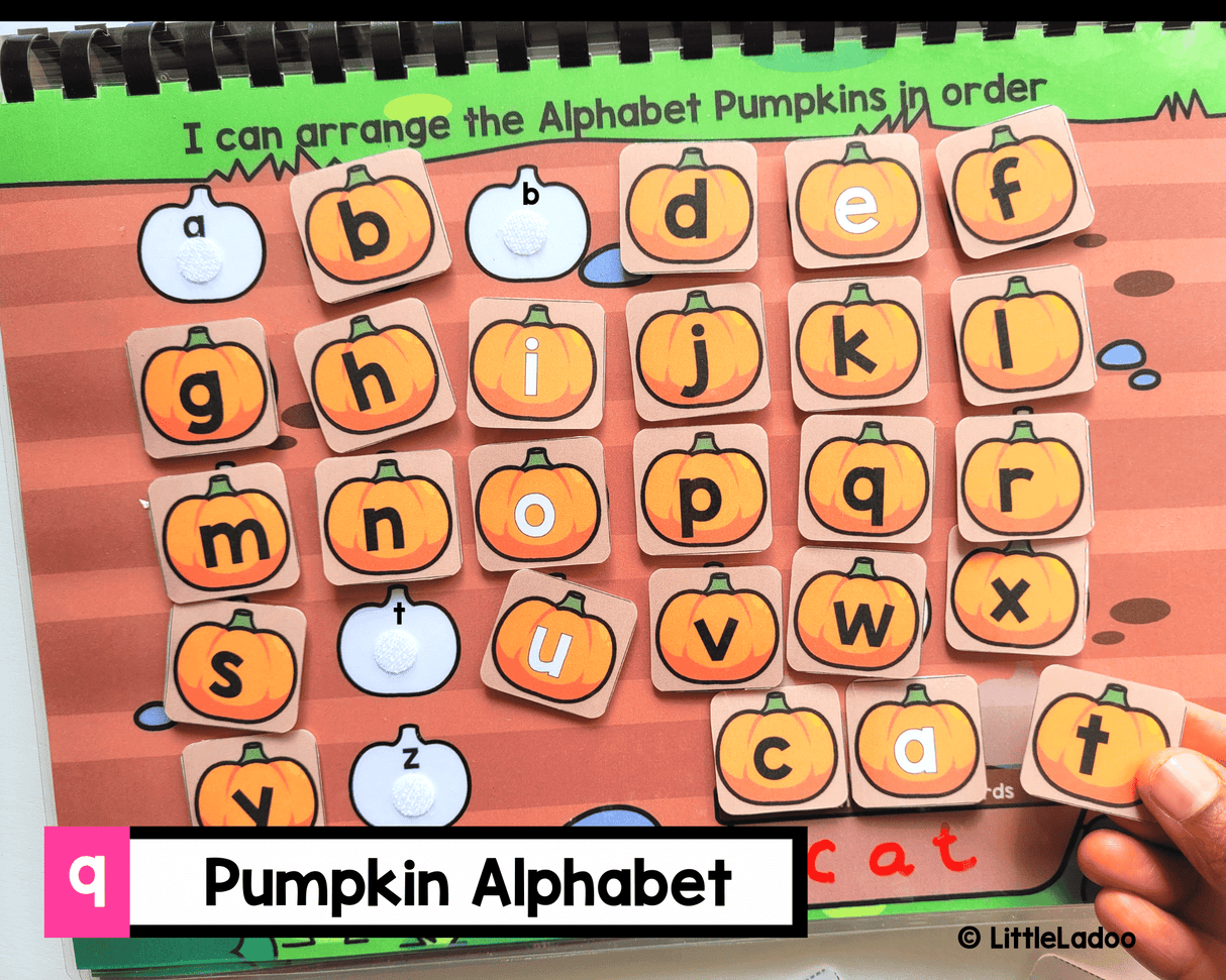 Fall Busy Book Printable {11 Activities}