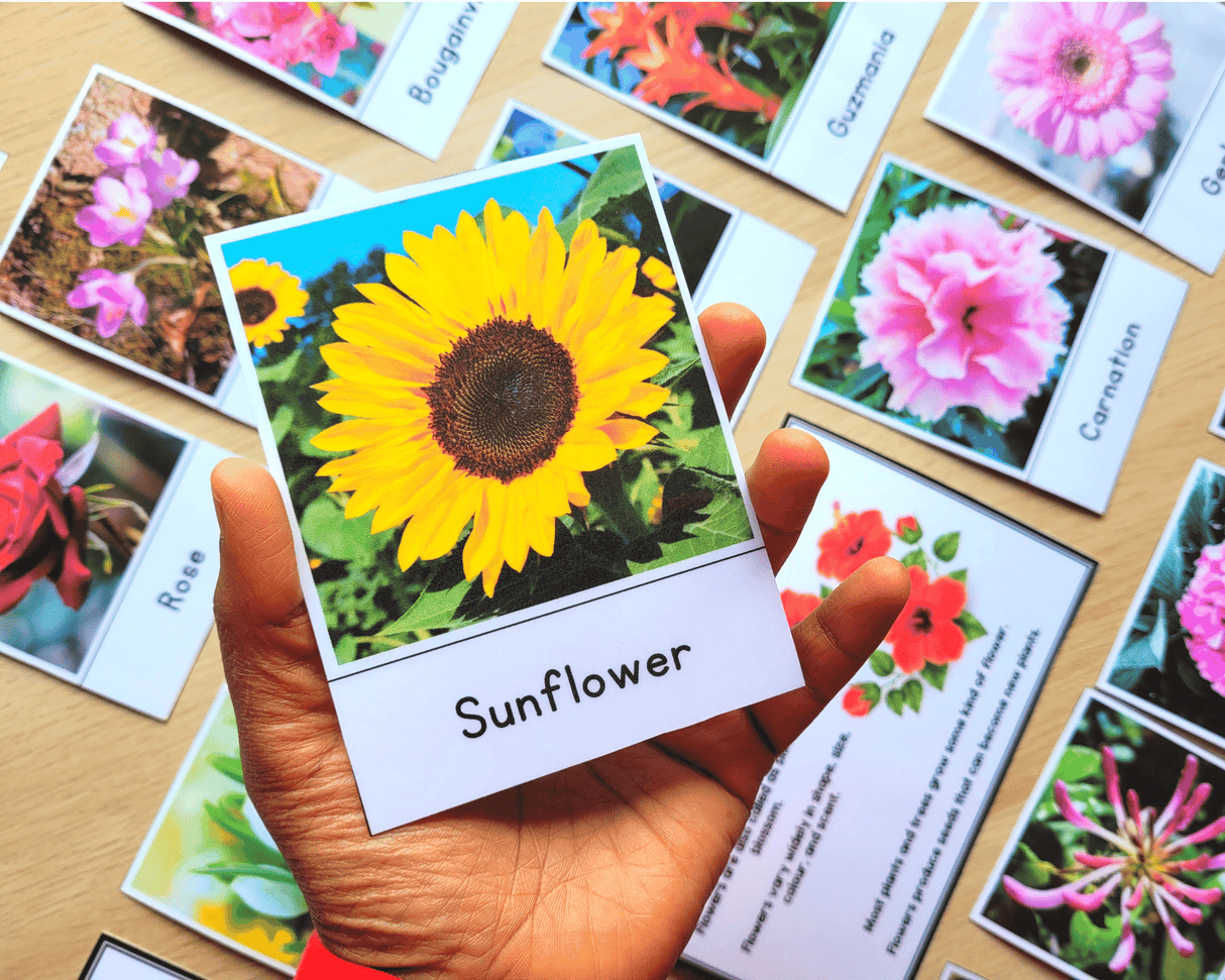 Flowers 3 part cards real photos' in natural environments