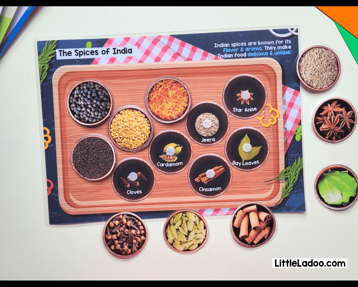 India Busy book { 11 Activities }