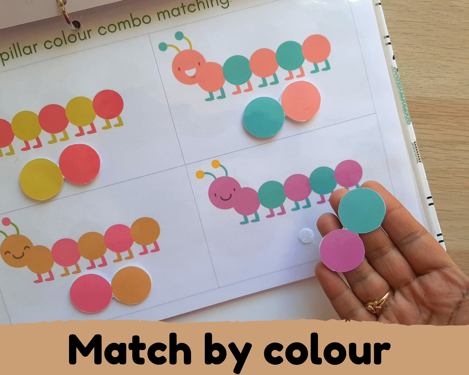Insect Busy Book {10 activities}