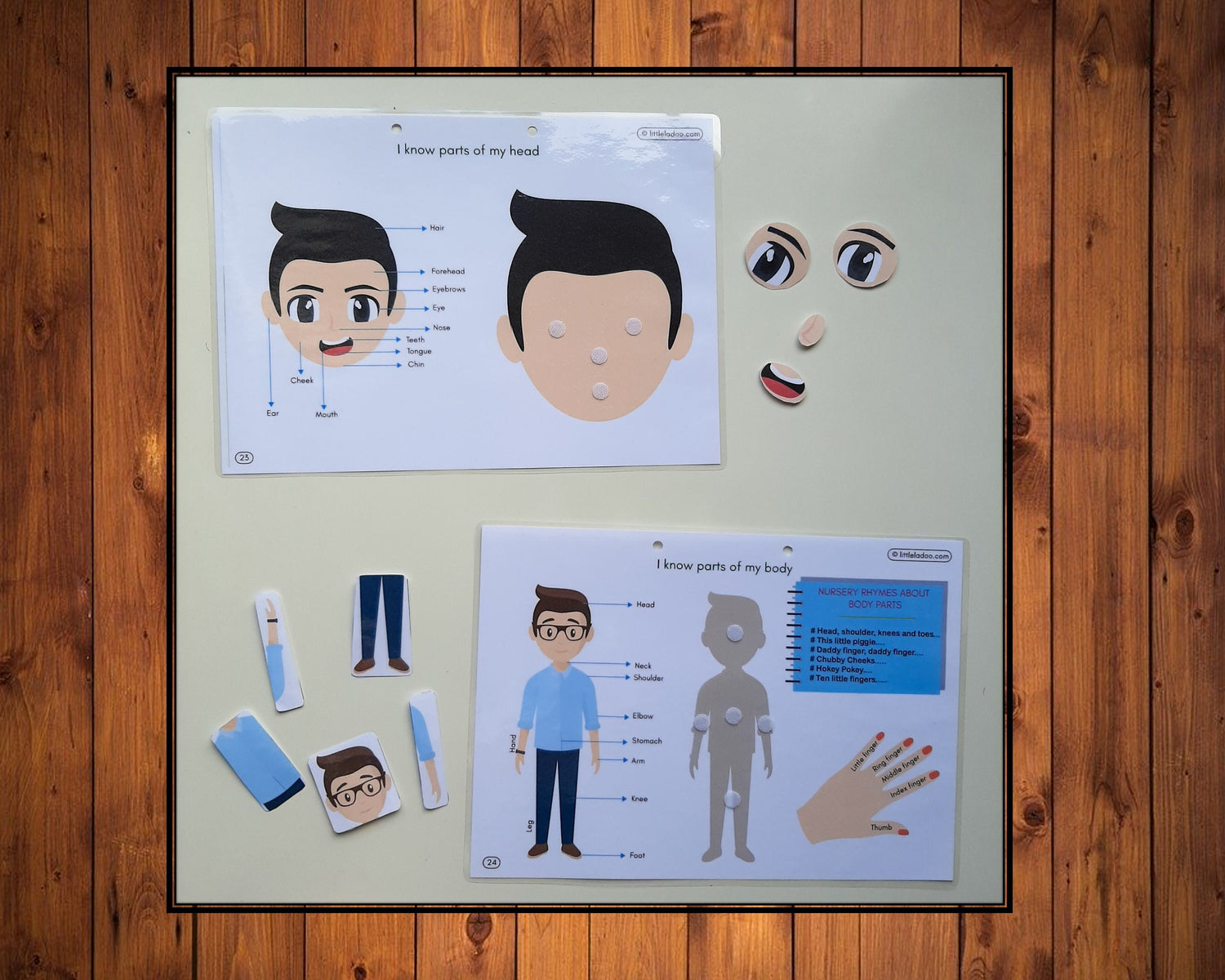 Body Parts Printable {3 Pages }