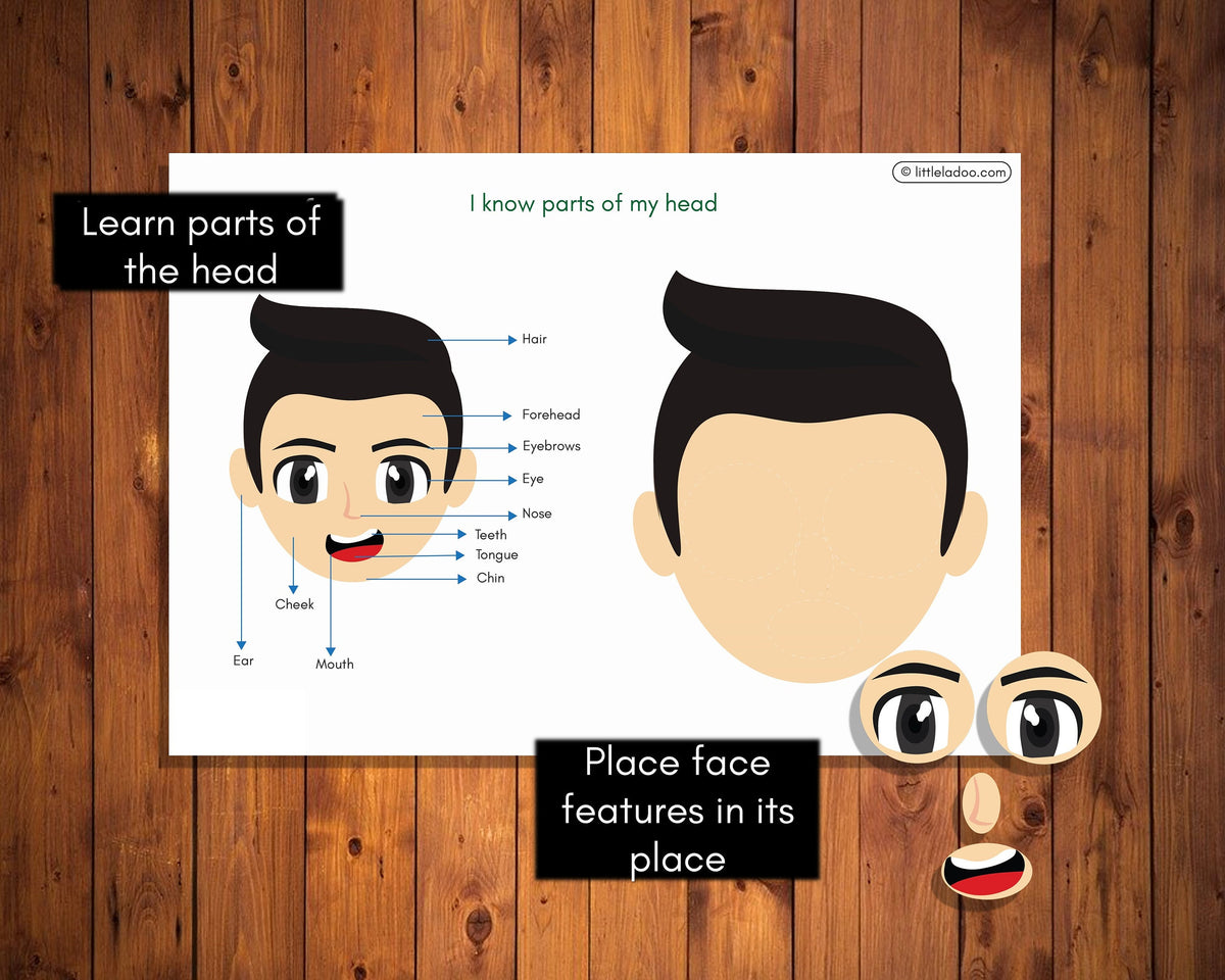 Body Parts Printable {3 Pages } – LittleLadoo