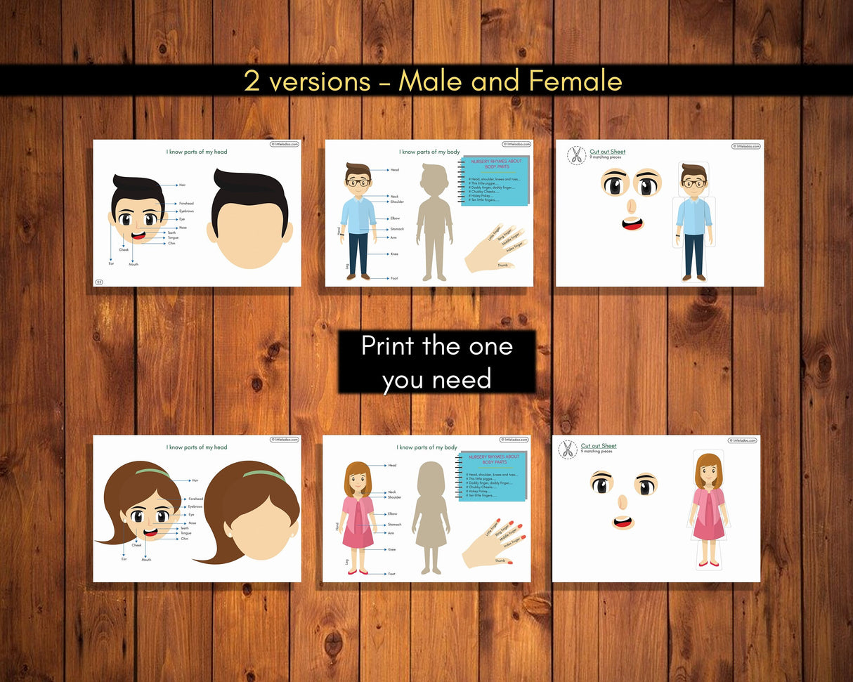 Body Parts Printable {3 Pages }