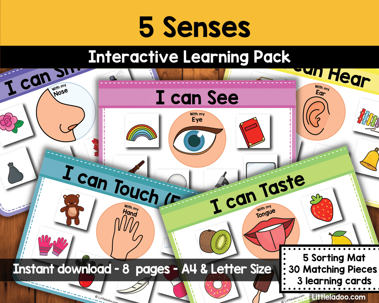 5 Senses Sorting Activity Printable