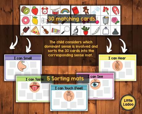 5 Senses Sorting Activity Printable