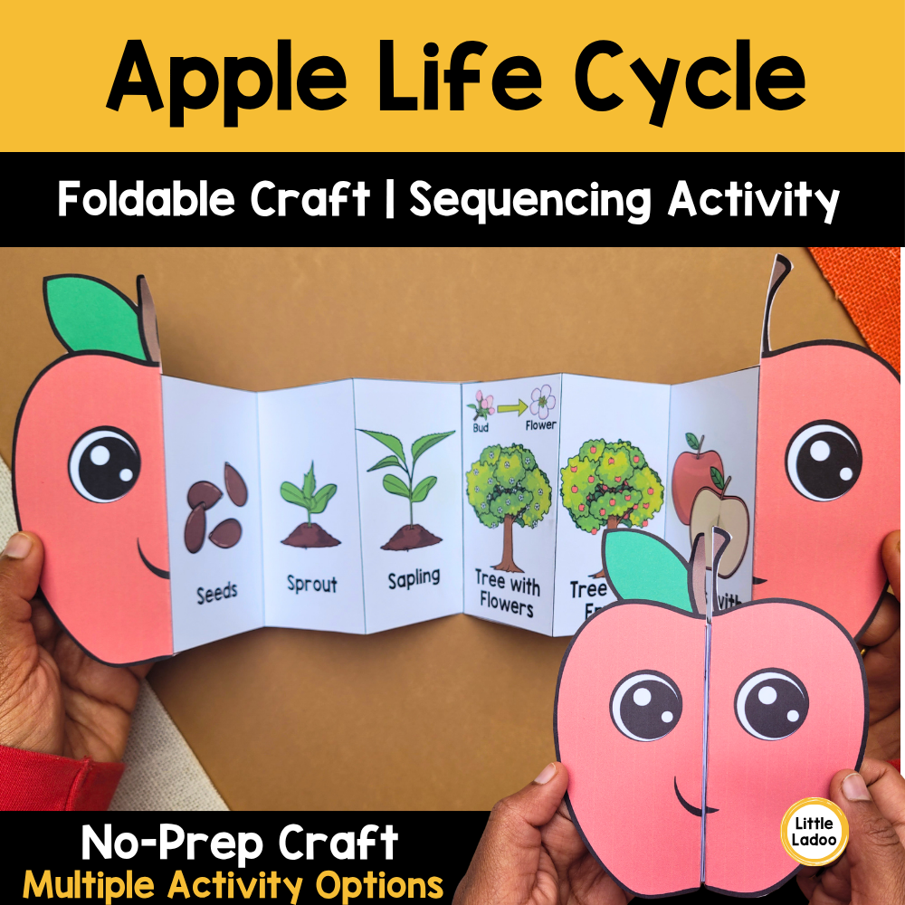 Apple Life Cycle Craft Printable | Foldable Sequencing Activity