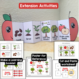 Apple Life Cycle Craft Printable | Foldable Sequencing Activity