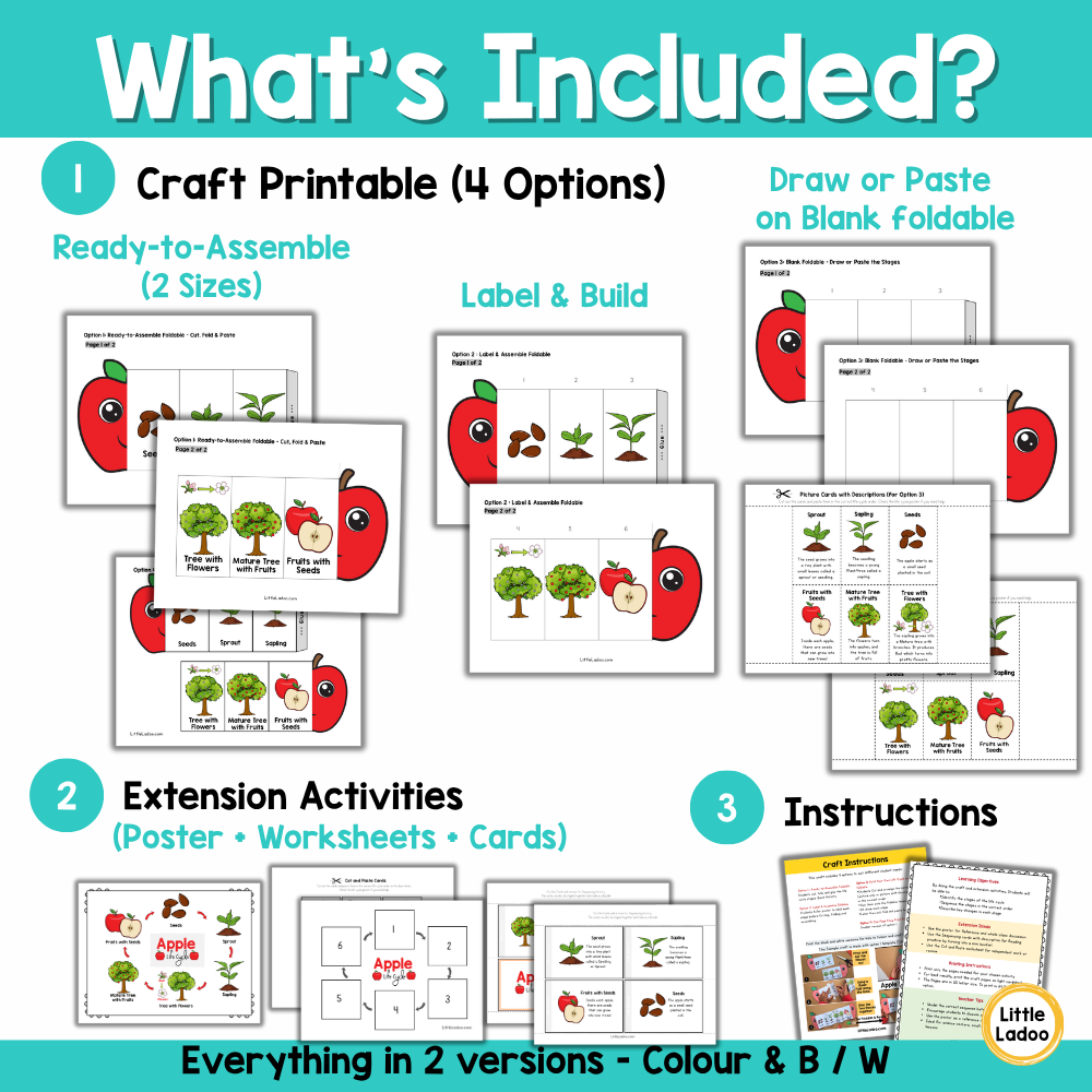 Apple Life Cycle Craft Printable | Foldable Sequencing Activity