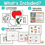 Apple Life Cycle Craft | Sequencing Cut and Paste Activity