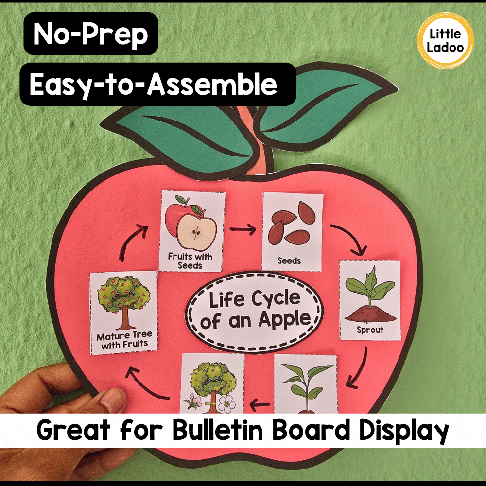 Apple Life Cycle Craft | Sequencing Cut and Paste Activity