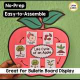 Apple Life Cycle Craft | Sequencing Cut and Paste Activity