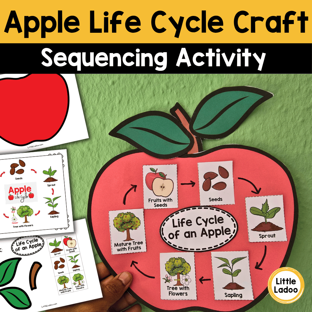 Apple Life Cycle Craft | Sequencing Cut and Paste Activity