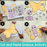 Butterfly Life Cycle Craft | Sequencing Cut and Paste Activity
