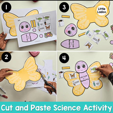 Butterfly Life Cycle Craft | Sequencing Cut and Paste Activity