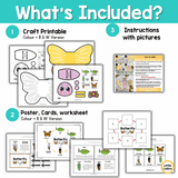 Butterfly Life Cycle Craft | Sequencing Cut and Paste Activity