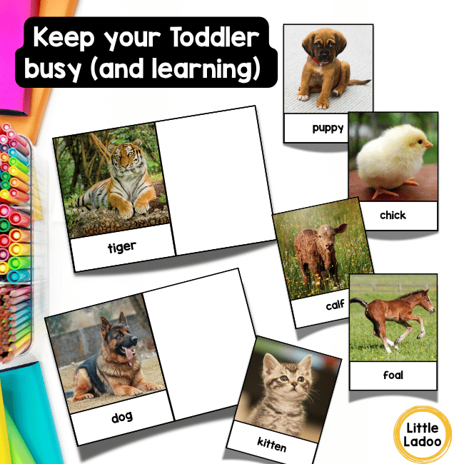 Baby Animal Matching Game Printable