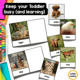 Baby Animal Matching Game Printable