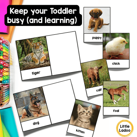 Baby Animal Matching Game Printable