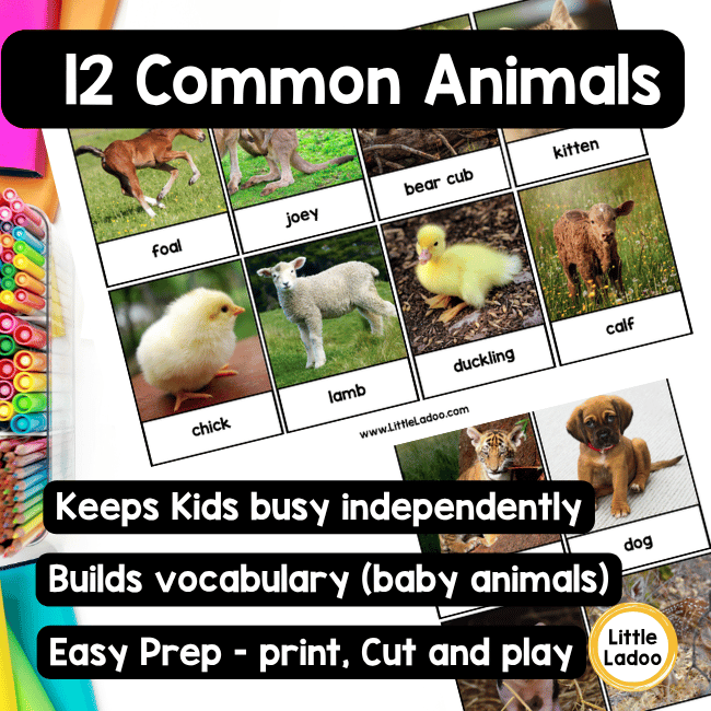 Baby Animal Matching Game Printable