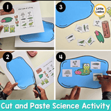 Frog Life Cycle Craft | Sequencing Cut and Paste Activity