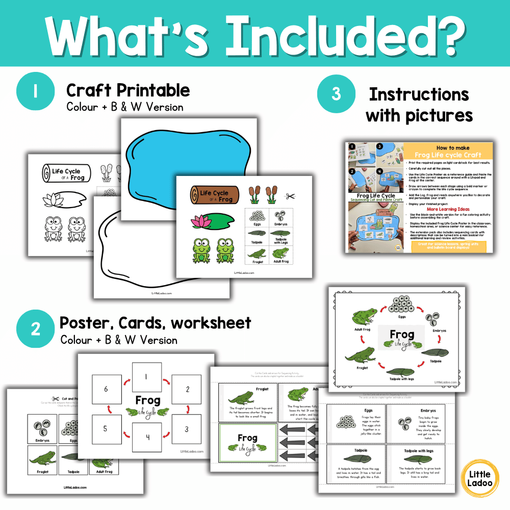 Frog Life Cycle Craft | Sequencing Cut and Paste Activity