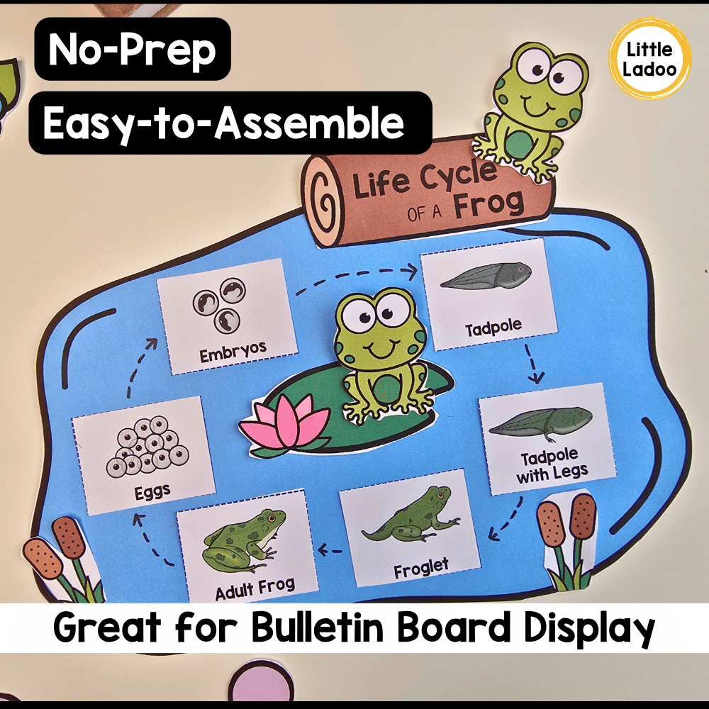 Frog Life Cycle Craft | Sequencing Cut and Paste Activity