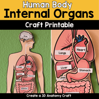 Human Body Internal Organs Craft
